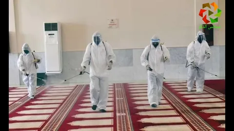 شركة مكافحة الوزغ بالرياض