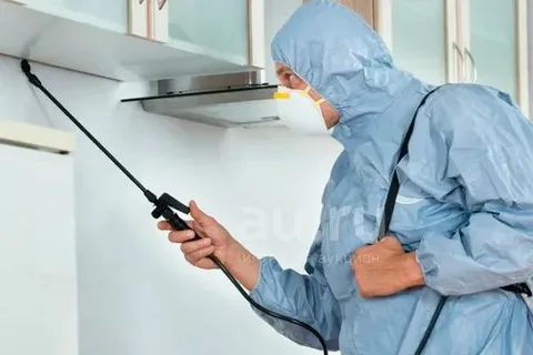 تخلص من الوزغ