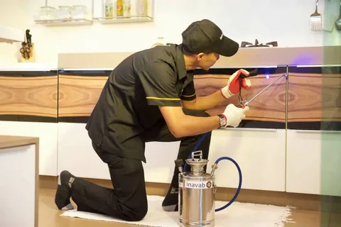 مكافحة جميع انواع الحشرات