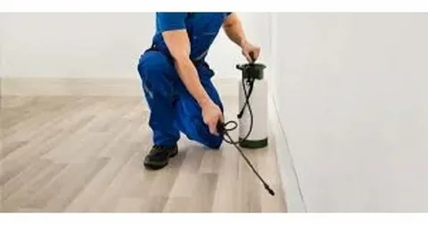 اسعار شركات رش الحشرات