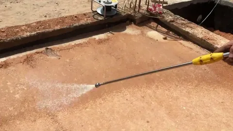 هل يمكن التخلص من النمل الابيض نهائيا