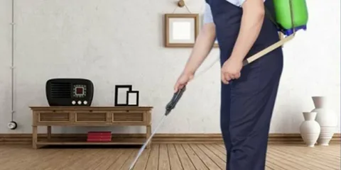 علاج النمل الأبيض