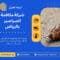 شركة مكافحة الصراصير بالرياض