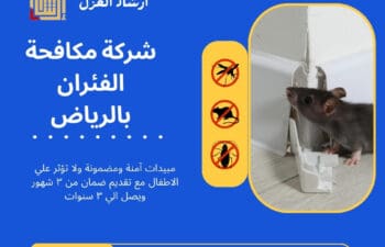 شركة مكافحة الفئران بالرياض