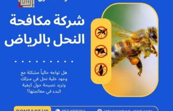 شركة مكافحة النحل بالرياض