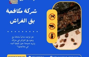 شركة مكافحة بق الفراش