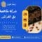 شركة مكافحة بق الفراش