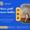 أفضل شركة مكافحة حشرات