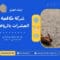 شركة مكافحة الحشرات بالرياض
