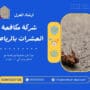 شركة مكافحة الحشرات بالرياض