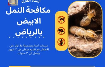 مكافحة النمل الابيض بالرياض
